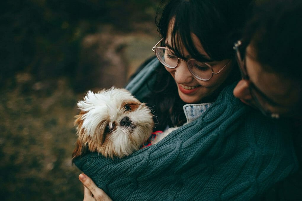 Pet Insurance Australia - The Simple Monzi Breakdown