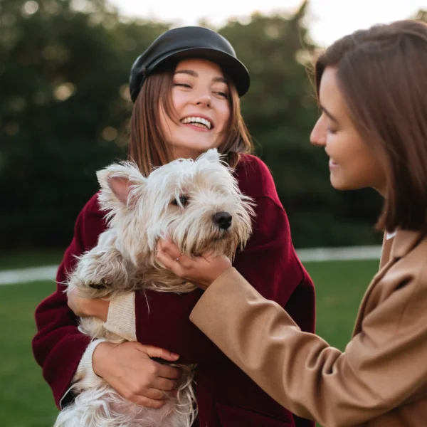 No Credit Check Payday Loans Australia