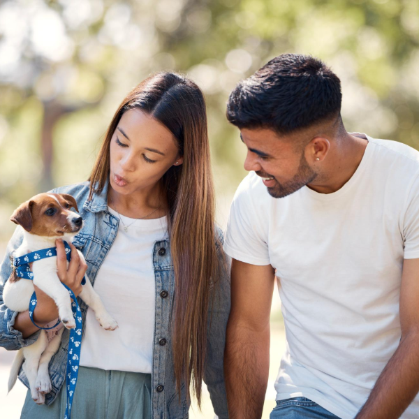 Bad Credit Loans Australia