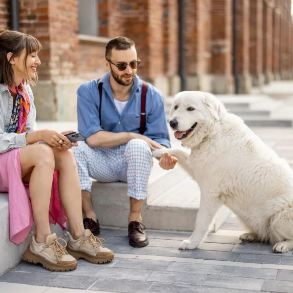 Wagepay Review Australia