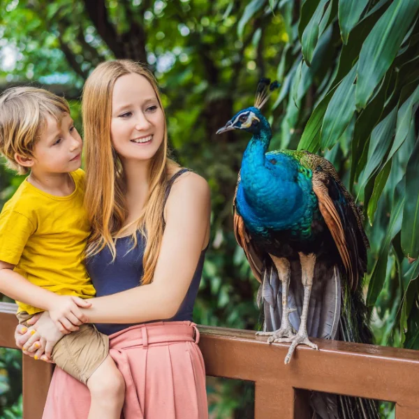 24 Hour Loans Australia