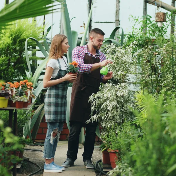 Short Term Loans Australia
