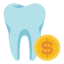 Dental Loans